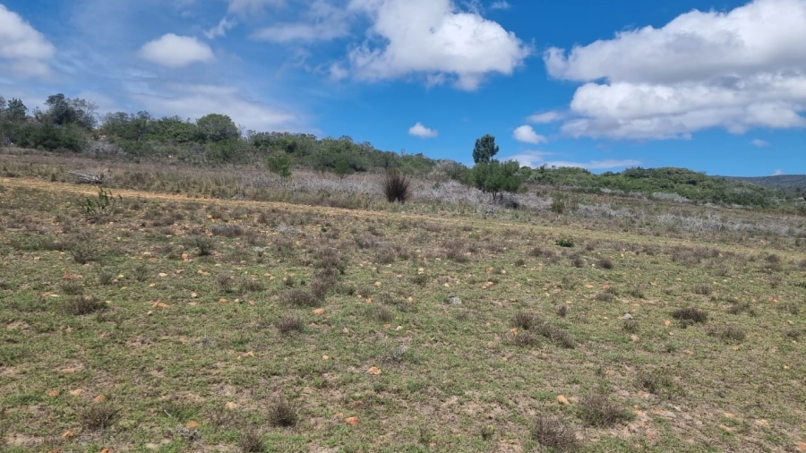 3 Bedroom Property for Sale in Albertinia Western Cape